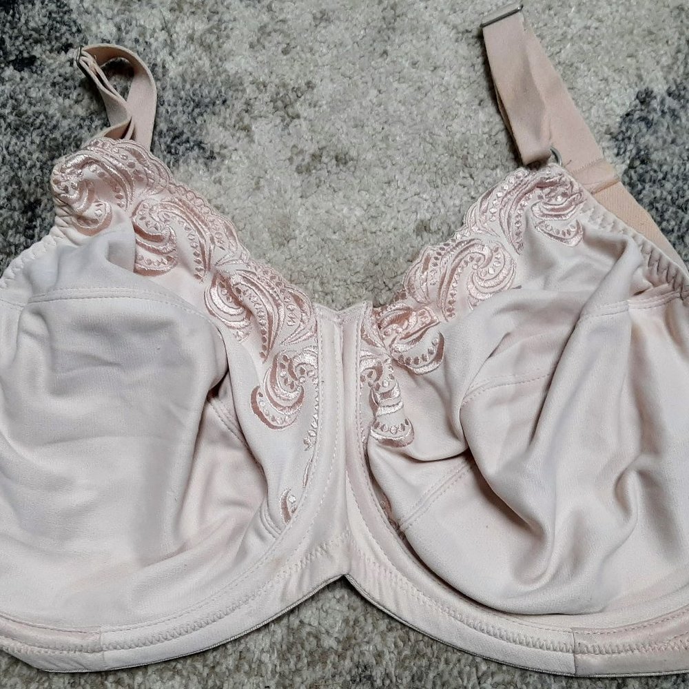 Lilyette Underwire NUDE Full-Coverage 38DDD Bra
